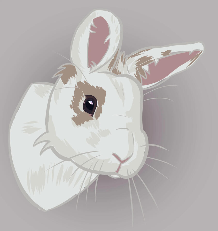 A doodle of one of my bunnies! :)
